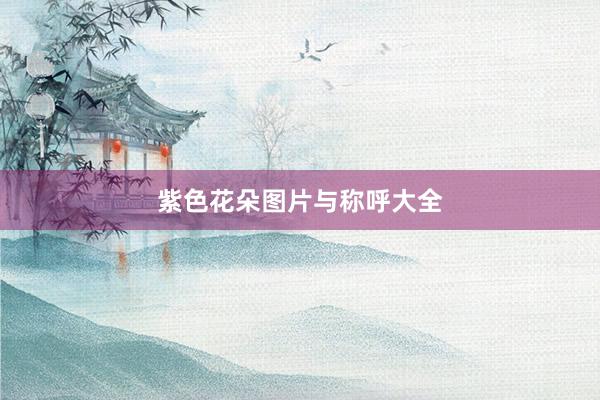 紫色花朵图片与称呼大全